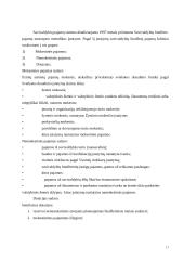 Savivaldos biudžetai  17 puslapis