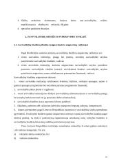 Savivaldos biudžetai  18 puslapis