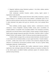 Savivaldos biudžetai  4 puslapis