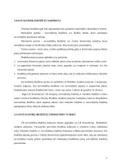Savivaldos biudžetai  6 puslapis