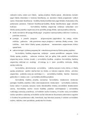 Savivaldos biudžetai  8 puslapis