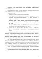 Savivaldos biudžetai  9 puslapis