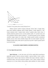 Gamybos kaštai ir masto ekonomika 17 puslapis