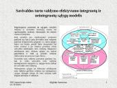 Savivaldybės nekilnojamojo turto valdymo efektyvumo didinimas. Pristatymas 13 puslapis
