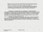 Savivaldybės nekilnojamojo turto valdymo efektyvumo didinimas. Pristatymas 17 puslapis