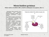 Savivaldybės nekilnojamojo turto valdymo efektyvumo didinimas. Pristatymas 19 puslapis