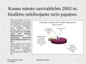 Savivaldybės nekilnojamojo turto valdymo efektyvumo didinimas. Pristatymas 20 puslapis