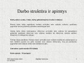 Savivaldybės nekilnojamojo turto valdymo efektyvumo didinimas. Pristatymas 7 puslapis