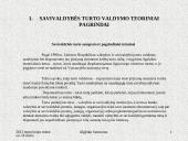 Savivaldybės nekilnojamojo turto valdymo efektyvumo didinimas. Pristatymas 8 puslapis