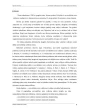 Municipalinio turto valdymas  6 puslapis