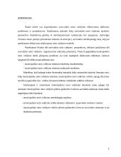 Municipalinis turtas