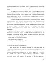 Municipalinis turtas 11 puslapis