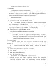 Municipalinis turtas 13 puslapis