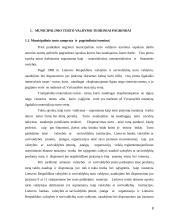 Municipalinis turtas 8 puslapis