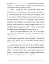 Savivaldybės nekilnojamojo turto valdymo efektyvumo didinimas 17 puslapis