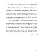 Savivaldybės nekilnojamojo turto valdymo efektyvumo didinimas 19 puslapis