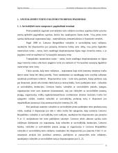 Savivaldybės nekilnojamojo turto valdymo efektyvumo didinimas 5 puslapis