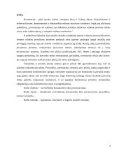 Komunalinio ūkio privatizavimas 2 puslapis