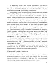Komunalinio ūkio privatizavimas 12 puslapis