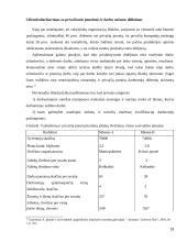 Komunalinio ūkio privatizavimas 19 puslapis