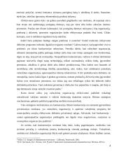 Komunalinio ūkio privatizavimas 4 puslapis