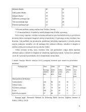 Komunalinio ūkio privatizavimas 6 puslapis