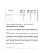 Komunalinio ūkio privatizavimas 7 puslapis