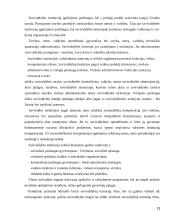 Vietos savivalda Lietuvoje. Konspektas 13 puslapis