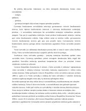 Vietos savivalda Lietuvoje. Konspektas 4 puslapis