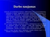 Naujų nekilnojamojo turto produktų vystymo ypatumai  6 puslapis