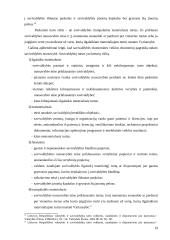 Vietos savivaldos turto valdymo samprata 19 puslapis