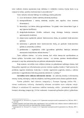 Savivaldos turto valdymo informacinės sistemos teisiniai aspektai 11 puslapis