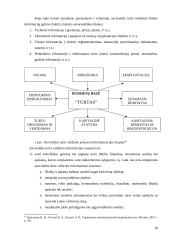 Savivaldos turto valdymo informacinės sistemos teisiniai aspektai 18 puslapis