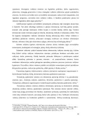 Savivaldos turto valdymo informacinės sistemos teisiniai aspektai 20 puslapis