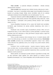 Savivaldos turto valdymo informacinės sistemos teisiniai aspektai 7 puslapis