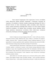 Savivaldybių veiklos efektyvinimas informacinėmis technologijomis Europos Sąjungos kontekste 2 puslapis