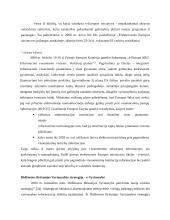 Savivaldybių veiklos efektyvinimas informacinėmis technologijomis Europos Sąjungos kontekste 13 puslapis