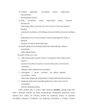 Savivaldybių veiklos efektyvinimas informacinėmis technologijomis Europos Sąjungos kontekste 5 puslapis