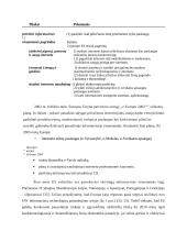 Savivaldybių veiklos efektyvinimas informacinėmis technologijomis Europos Sąjungos kontekste 10 puslapis