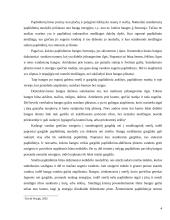 Jūrų bangos ir jų ardomoji veikla 4 puslapis