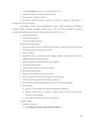 Savivaldybių biudžetų formavimo ir panaudojimo tobulinimo kryptys 12 puslapis