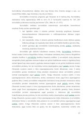 Savivaldybių biudžetų formavimo ir panaudojimo tobulinimo kryptys 17 puslapis