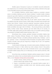 Savivaldybių biudžetų formavimo ir panaudojimo tobulinimo kryptys 20 puslapis