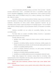 Savivaldybių biudžetų formavimo ir panaudojimo tobulinimo kryptys 3 puslapis