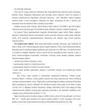 Smulkaus ir vidutinio verslo darbas 12 puslapis