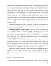 Smulkaus ir vidutinio verslo darbas 14 puslapis