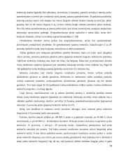 Smulkaus ir vidutinio verslo darbas 15 puslapis