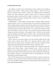 Smulkaus ir vidutinio verslo darbas 19 puslapis