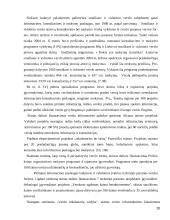 Smulkaus ir vidutinio verslo darbas 20 puslapis