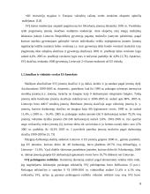 Smulkaus ir vidutinio verslo darbas 6 puslapis